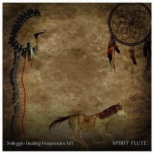 Spirit Flute - Solfeggio Healing Frequencies MT