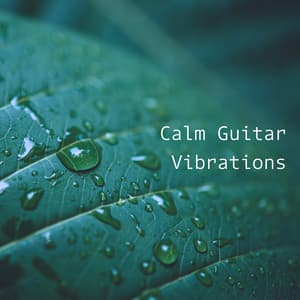 Calm Guitar Vibrations – Gentle Music for Relaxation - Wellness Sounds Relaxation Paradise
