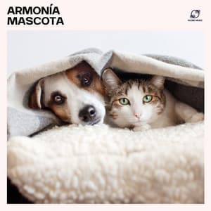 Armonía Mascota - Relax para Perrors Maestro