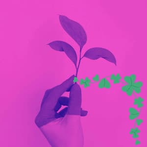 Groovy Background for Lazy Together - Saturday Morning Relaxation Vibes