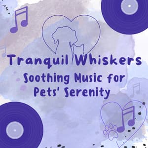 Tranquil Whiskers: Soothing Music for Pets' Serenity - Raining for Calm Pets