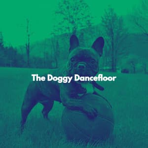 The Doggy Dancefloor - Wednesday Morning Jazz Playlist