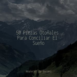 50 Piezas Otoñales Para Conciliar El Sueño - Zen Music Garden