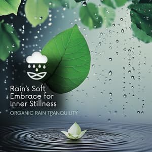 Rain’s Soft Embrace for Inner Stillness - Organic Rain Tranquility