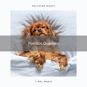 2021 Perritos Queridos - Biblioteca de Música Para Mascotas