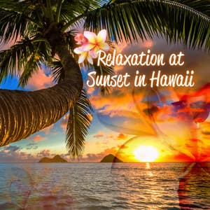 Relaxation at Sunset in Hawaii: Total Chillout with New Age Music, Holiday on the Beach, Summer Ambient Music - Experimental New Age Musician