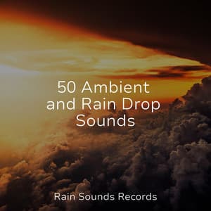50 Ambient and Rain Drop Sounds - Meeresrauschen