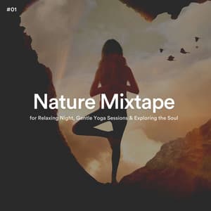 #01 Nature Mixtape for Relaxing Night, Gentle Yoga Sessions & Exploring the Soul - The Nature Soundscapes