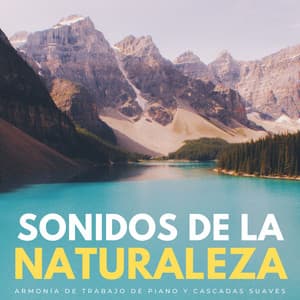 Sonidos De La Naturaleza: Armonía De Trabajo De Piano Y Cascadas Suaves - Aguas Pura