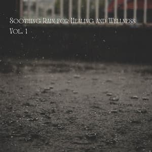 Soothing Rain for Healing and Wellness Vol. 1 - Rain Hive