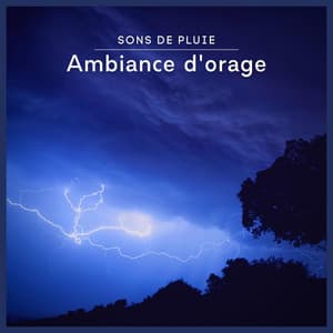 Sons de pluie: Ambiance d'orage - Sons De Pluie