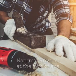 Nature's Rhythm at the Workplace - Kei Nature
