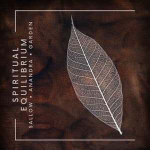 Spiritual Equilibrium: Grounding Meditation - Isabel Sallow