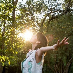 Tranquil Sanctuary: Meditative Melodies Inspired by Nature - The Nature Soundscapes