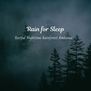 Rain for Sleep: Restful Nighttime Rainforest Ambience - Calm Rain for Sleep