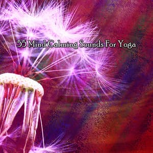 55 Mind Calming Sounds For Yoga - Pure Massage Music