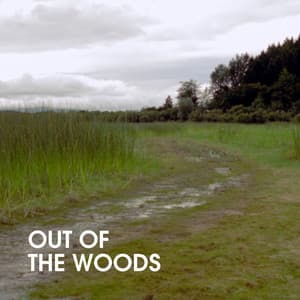 Trivia - Out Of The Woods