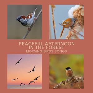 Peaceful Afternoon in the Forest: Morning Birds Songs - Calm Singing Birds Zone