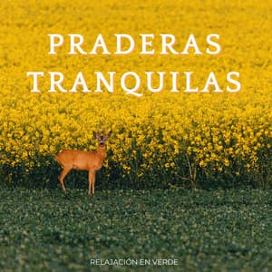 Praderas Tranquilas: Relajación En Verde - Verde 5