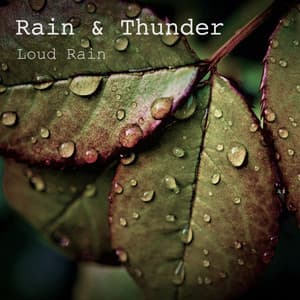 Loud Rain - Rain & Thunder