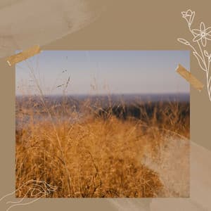 Cute - Spa Music Hour