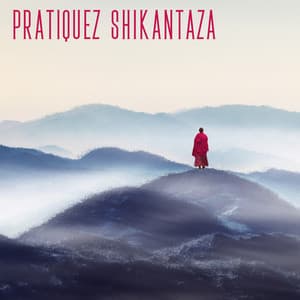 Pratiquez Shikantaza: Magique Japonais Ambiante pour Méditation Assise - Oasis de Musique Zen Spa