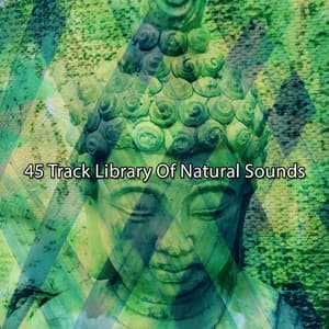 45 Track Library Of Natural Sounds - Rising Higher Meditation