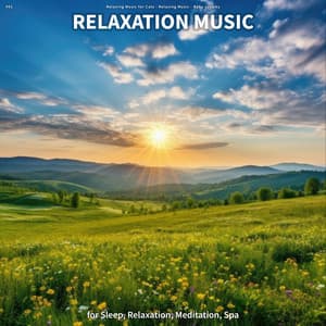 #01 Relaxation Music for Sleep, Relaxation, Meditation, Spa - Relaxing Music for Cats
