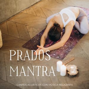 Prados Mantra: Cantos Acuáticos Con Música Relajante - Naturalis