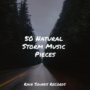 50 Natural Storm Music Pieces - Brain Study Music Guys