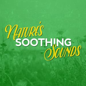 Nature's Soothing Sounds - The Calming Sounds Of Nature