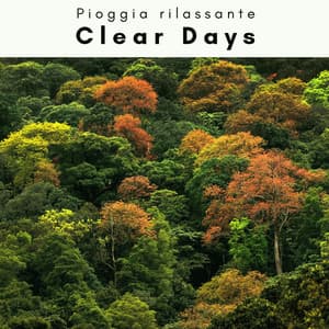1 o 1 Clear Days - Pioggia rilassante
