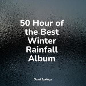 50 Hour of the Best Winter Rainfall Album - Sleep Songs 101