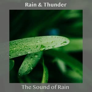 The Sound of Rain - Rain & Thunder