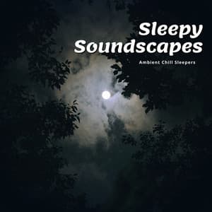 Sleepy Soundscapes - Ambient Chill Sleepers