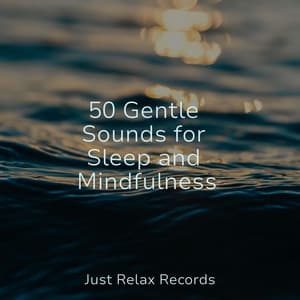 50 Gentle Sounds for Sleep and Mindfulness - Chillout Lounge
