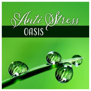 Anti Stress Oasis - Relaxation for Deep Sleep, Healing Yoga Meditation Zone, Tranquil & Soothed Mind - Zen Relaxation Academy