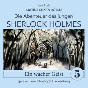 Sherlock Holmes: Ein wacher Geist - Der junge Sherlock Holmes