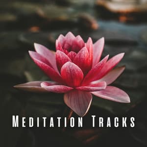 Meditation Tracks: Calming Chill Music and Lofi Tunes - Lofi Music Club
