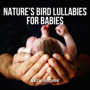 Rain Sounds: Nature's Bird Lullabies for Babies - Rain Radiance