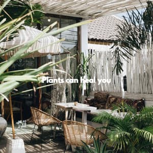 Plants can heal you - Slow Relaxing Jazz