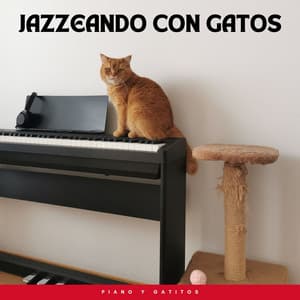 Piano Y Gatitos: Jazzeando Con Gatos - Música de café