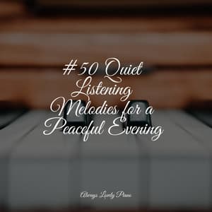 50 Tracks of Harmony - Concentration Study