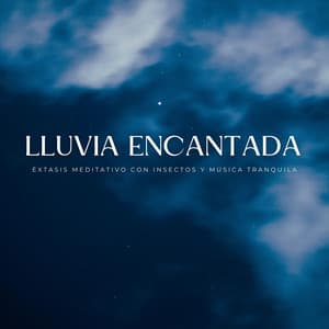 Lluvia Encantada: Éxtasis Meditativo Con Insectos Y Música Tranquila - La lluvia es mi vida
