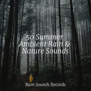 50 Summer Ambient Rain & Nature Sounds - Rest & Relax Nature Sounds Artists