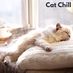 Cat Chill - Beruhigende Musik für Hunde