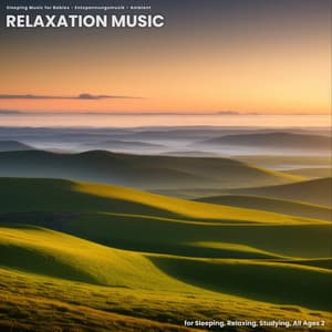 Relaxation Music for Sleeping, Relaxing, Studying, All Ages 2 - Sleeping Music for Babies