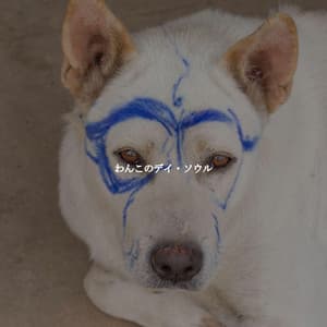 わんこのデイ・ソウル - Coffee Shop Smooth Jazz