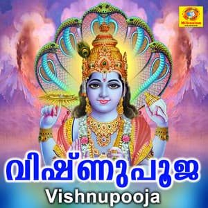 Vishnupooja - Krishna Prasad