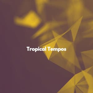 Tropical Tempos - Dinner Jazz Orchestra